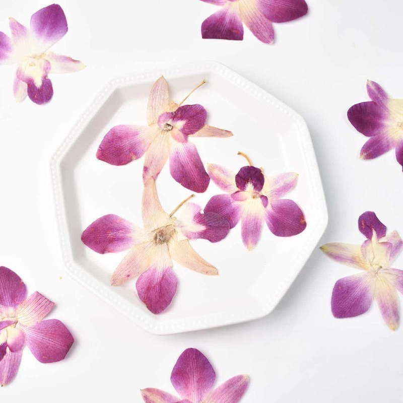 Resin Art Photo Frame - 4 ชิ้น, ดอกกล้วยไม้ผีเสื้อแท้แบบกดอัด, งานศิลปะเรซิ่น DIY, สมุดภาพ,