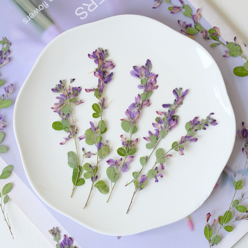 6 ชิ้น, ดอกเลสเปเดซา ฟอร์โมซาแ - Resin Art Photo Frame บทวิจารณ์และราคา