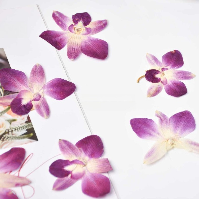 4 ชิ้น, ดอกกล้วยไม้ผีเสื้อแท้แ - Resin Art Photo Frame บทวิจารณ์และราคา