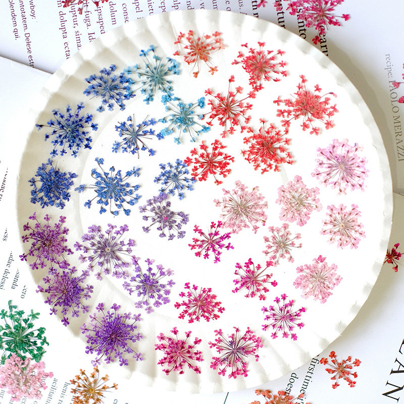 24 ชิ้น, ขนาด 2-2.5 ซม., ดอกไม - Resin Art Photo Frame บทวิจารณ์และราคา